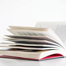 „Јаз во јазикот“ од Санде Стојчески и „Ѓаволско море“од Милован Стефановски промовирани во Струга
