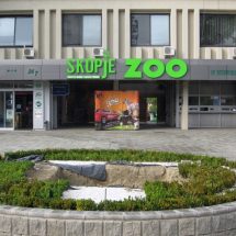 Поскапи билети во Зоолошката градина од Нова година