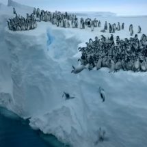 Најдобри новинарски киксови во светот за 2012